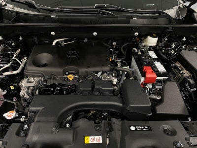 2025 Toyota RAV4 XLE AWD