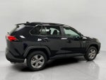 2025 Toyota RAV4 XLE AWD