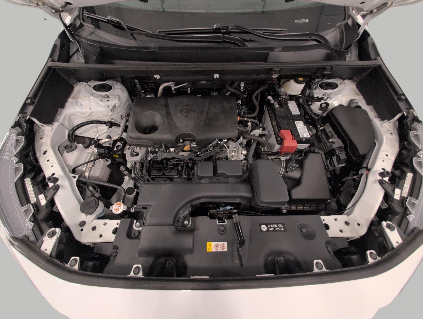 2025 Toyota RAV4 XLE AWD
