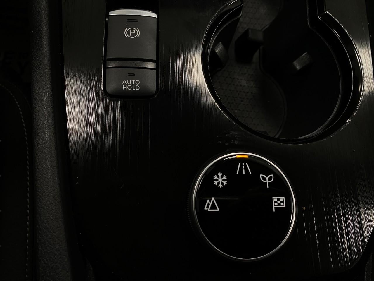 2025 Nissan Rogue AWD SV