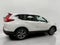 2019 Honda CR-V EX-L 2WD