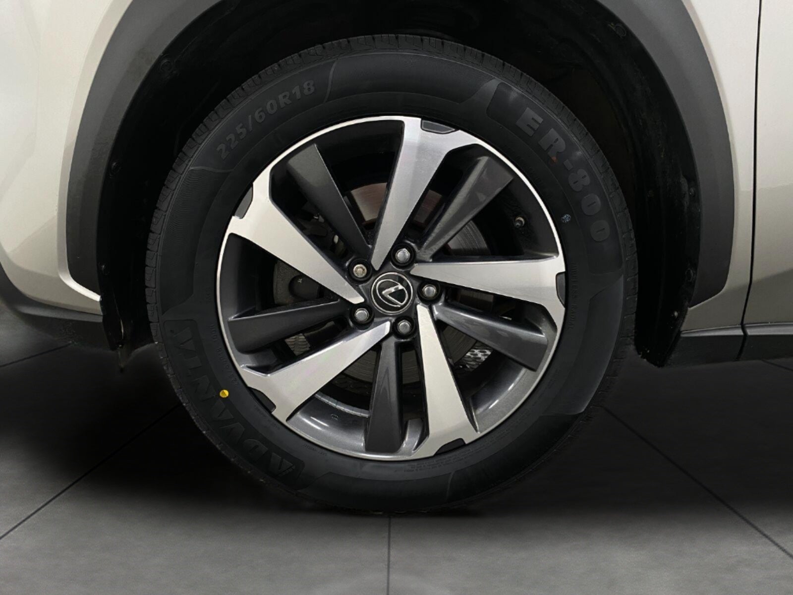 2019 Lexus NX 300 NX 300 AWD